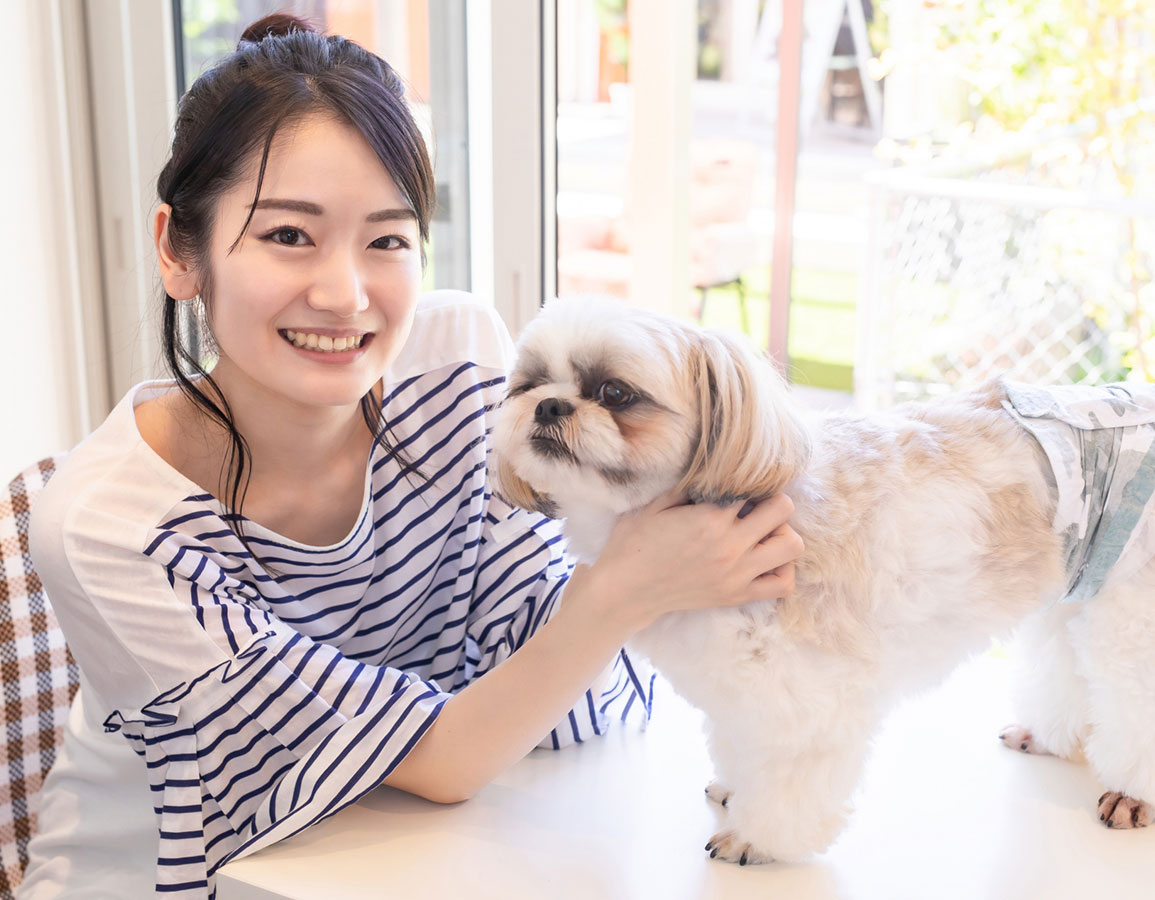 ペットイメージ